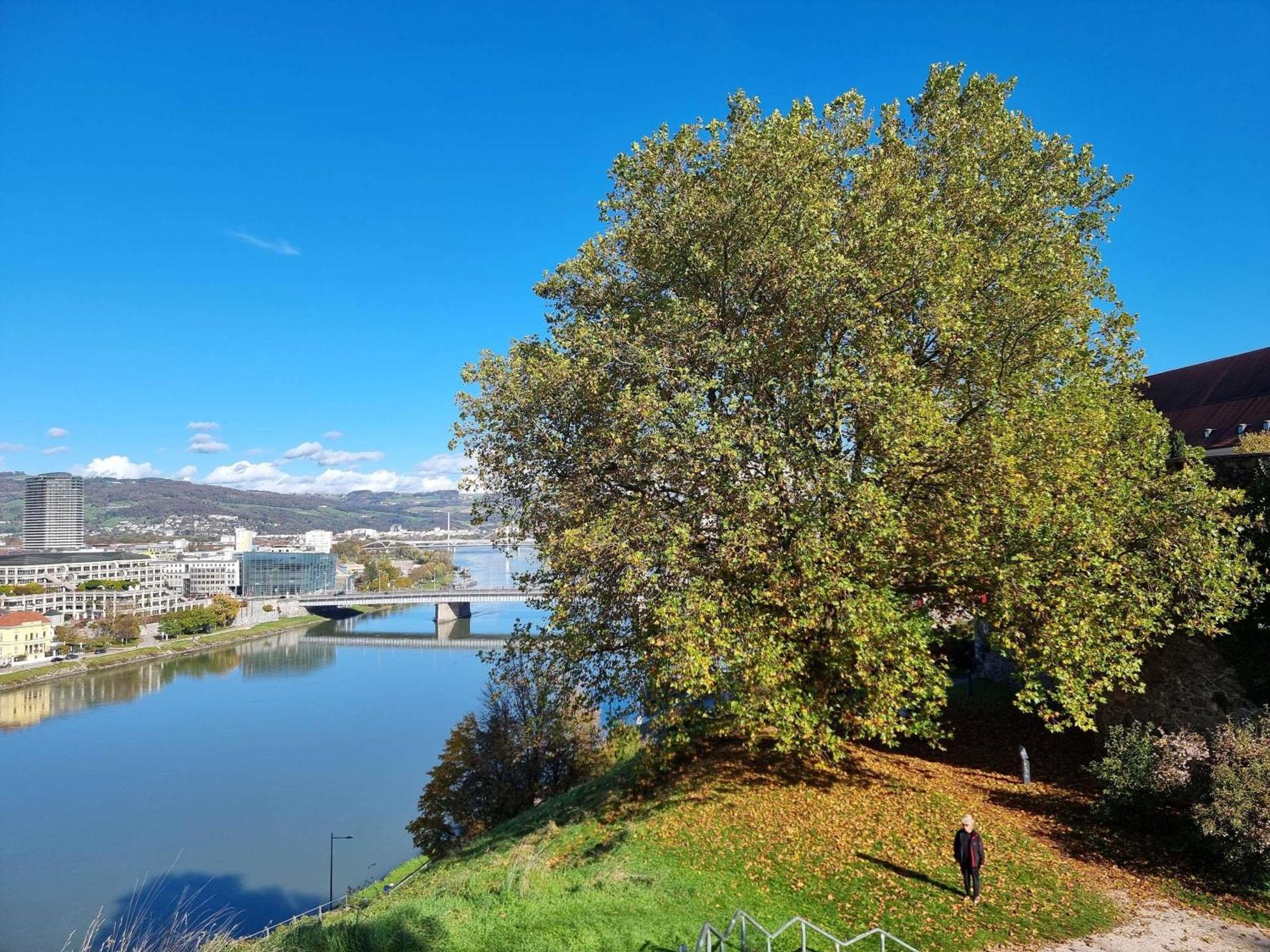 Hotel Ibis Styles Linz Zewnętrze zdjęcie